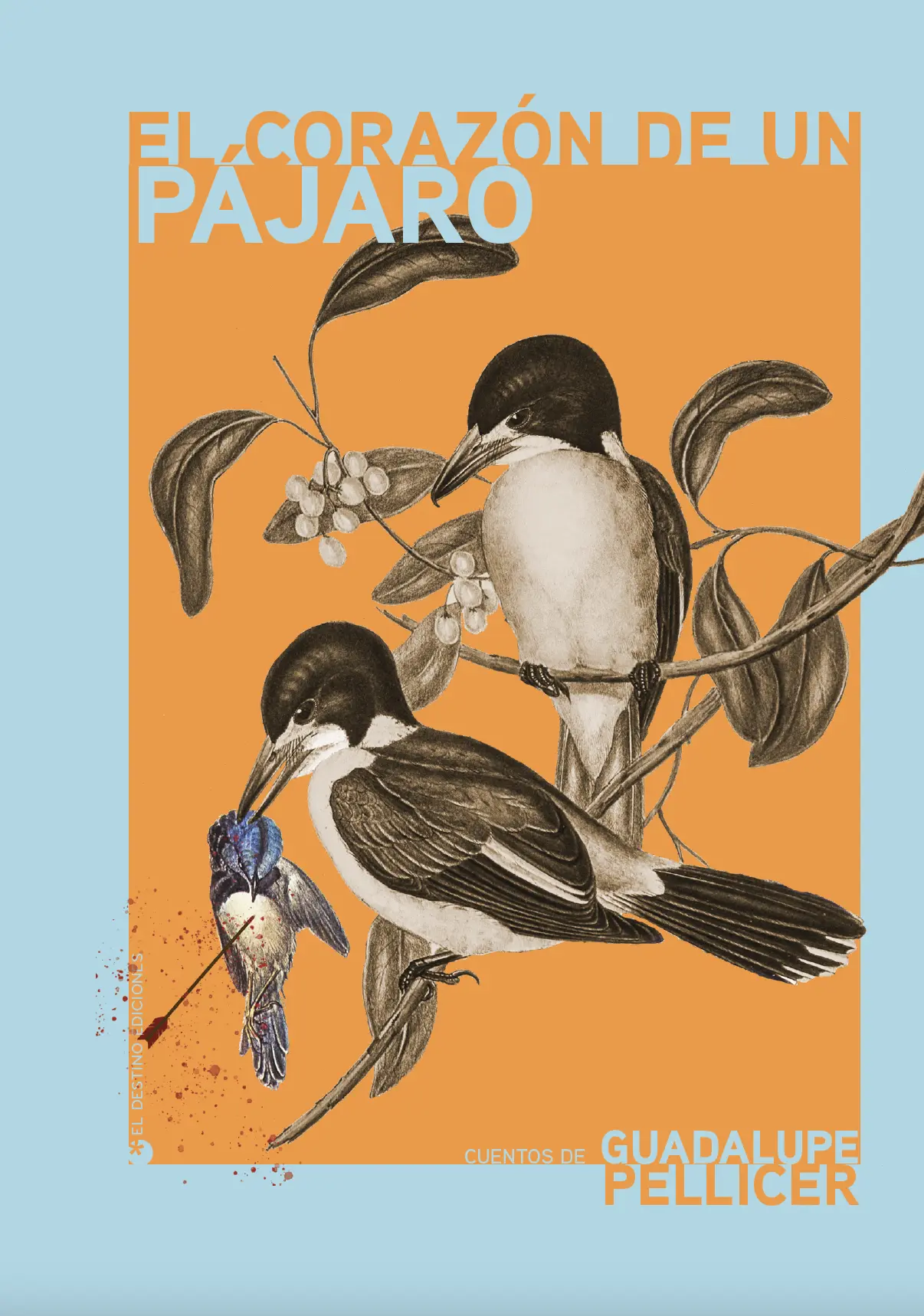El corazón de un pájaro
